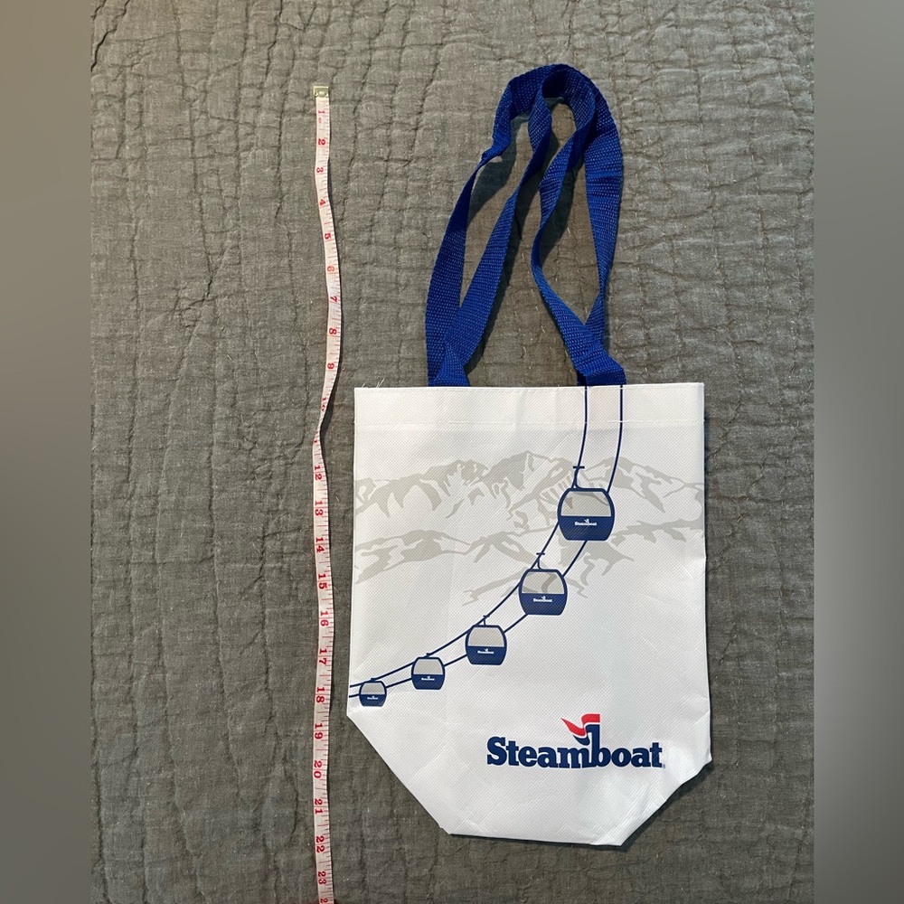 Unique Steamboat Springs Ski Resort Small White and Blue Tote Bag, NWOT